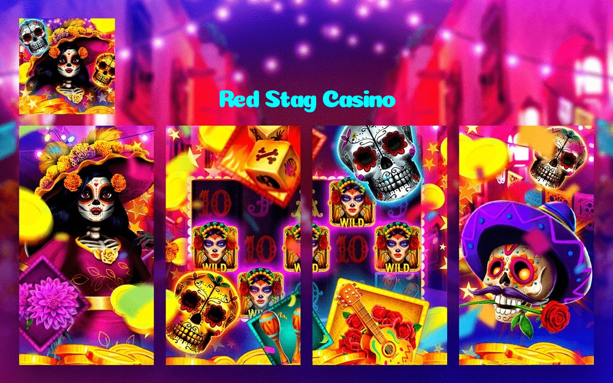 available types of Red Stag Casino bet including pre-match live express and system bets